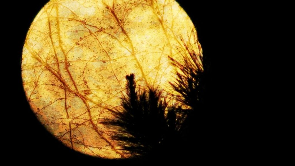 Как Луна влияет на нас: объяснение влияния лунных циклов