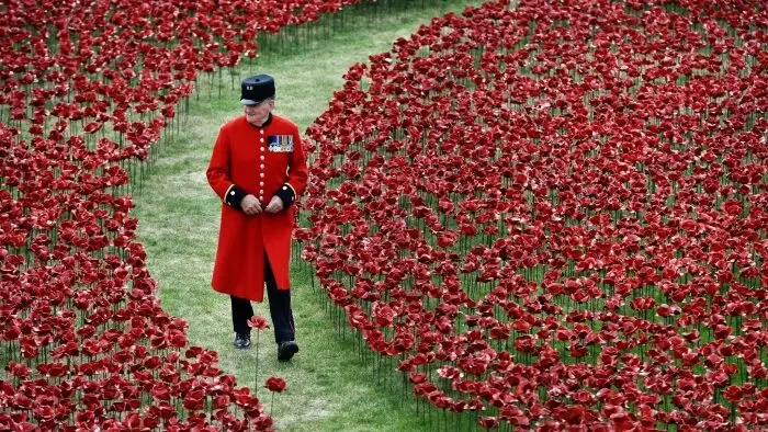 Remembrance Day 2025: зачем миллионы британцев носят красный мак и замирают 11 ноября