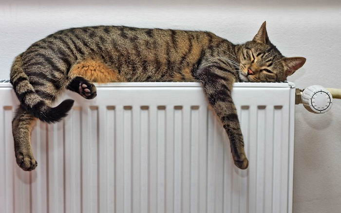 В Бишкеке запускают отопление: когда потеплеют дома и школы Отопительный сезон в Бишкеке стартует 3 ноября