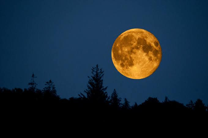 Бобровая суперлуна осветила ноябрьское небо: 5 ноября 2025 одна из самых ярких лун года Бобровая суперлуна 5 ноября 2025 года