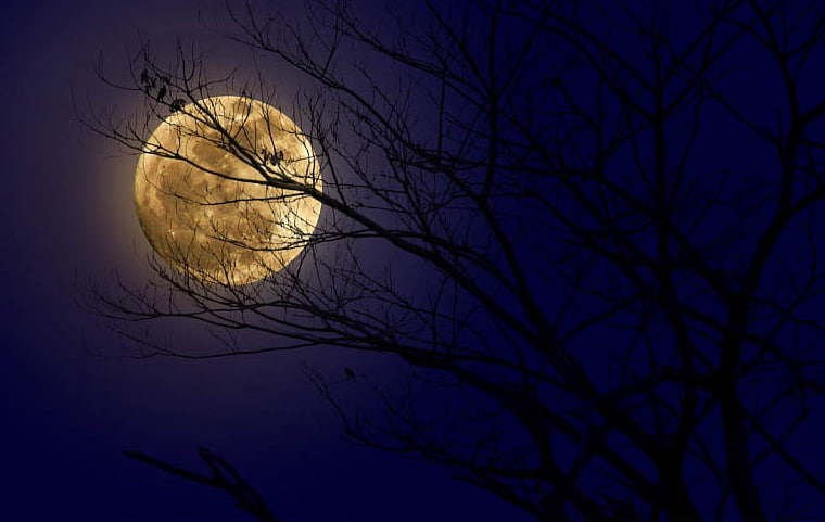 Бобровая суперлуна 5 ноября 2025 года