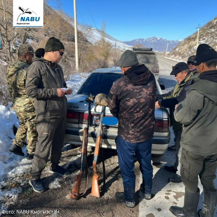 В Кемине оштрафовали браконьеров на 35 тысяч сомов