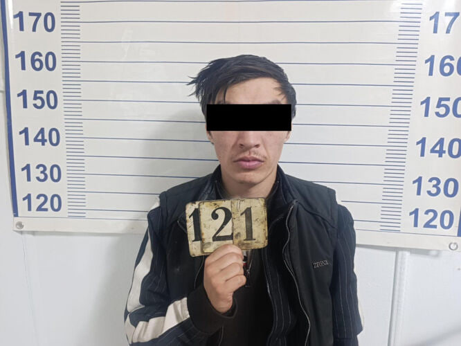 Жительница Токмока потеряла 5 млн сомов из-за мошенников