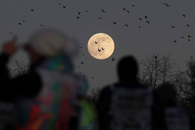 Лунный календарь на декабрь 2025: как лучше спланировать свои дела согласно фазам Луны? Лунный календарь декабря 2025: как лучше строить планы