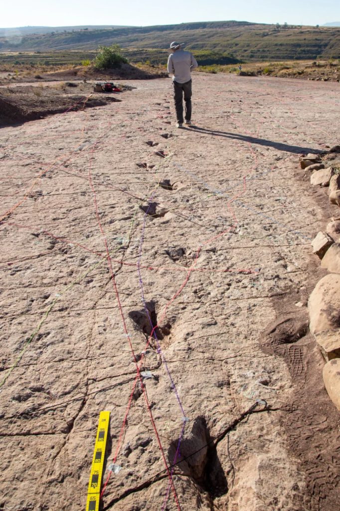 В Боливии найдено рекордное количество следов динозавров