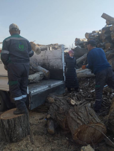 В Бишкеке 236 семей получили дрова от мэрии