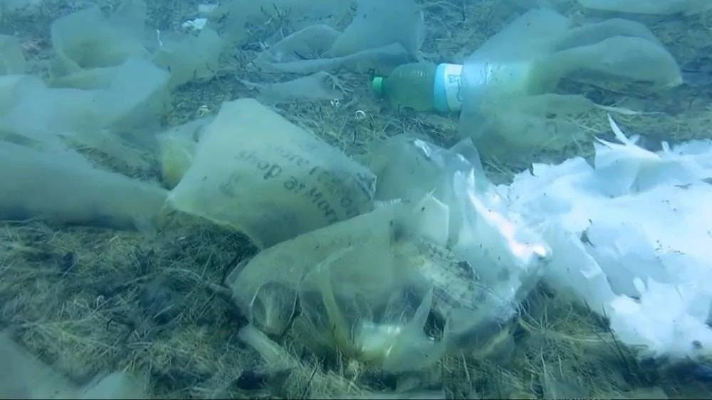 Со дна Иссык-Куля подняли более 43 тонн мусора: отчет МЧС