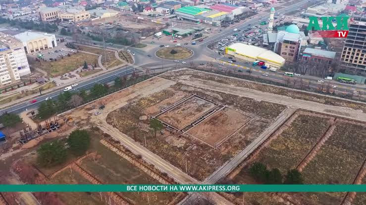 Почему в Ботсаду строят футбольные поля? Объяснение НАН