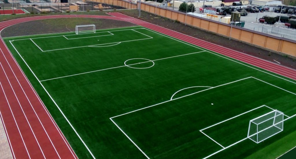 Почему в Ботсаду строят футбольные поля? Объяснение НАН