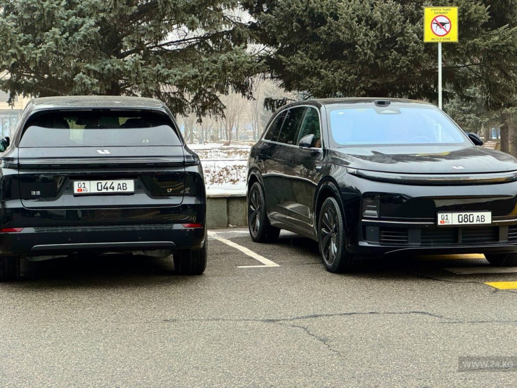 Депутаты и новые авто вместо новых законов: фото