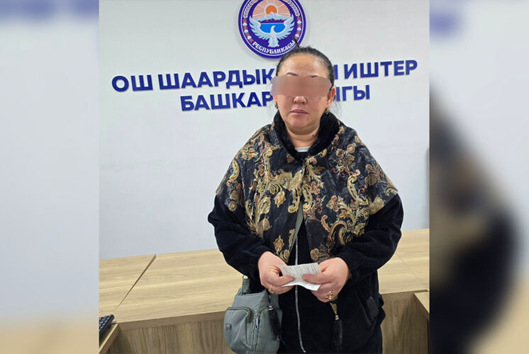 В Оше поймали супругов с младенцем: их подозревают в краже детских товаров из магазина Воровали с ребенком на руках: в Оше задержали семью