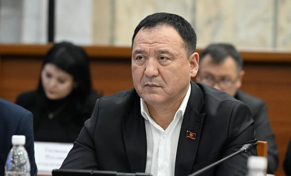 Как судимый стал депутатом ЖК: ЦИК проверяет Бекмурз Эргешова Судимый депутат? ЦИК проверяет Эргешова и его мандат