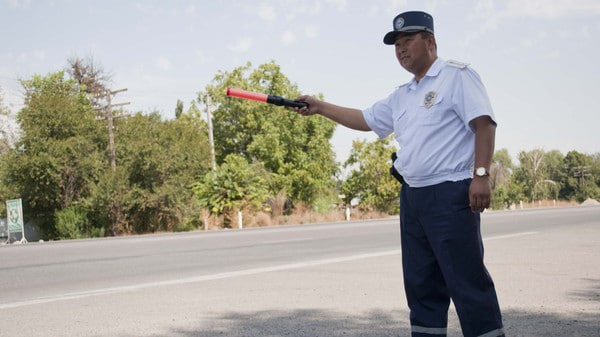 Отзыв закона проверки знаний водителей: почему его отменили