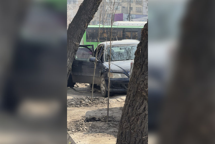 Наказание за парковку на саженцах: почему люди так делают