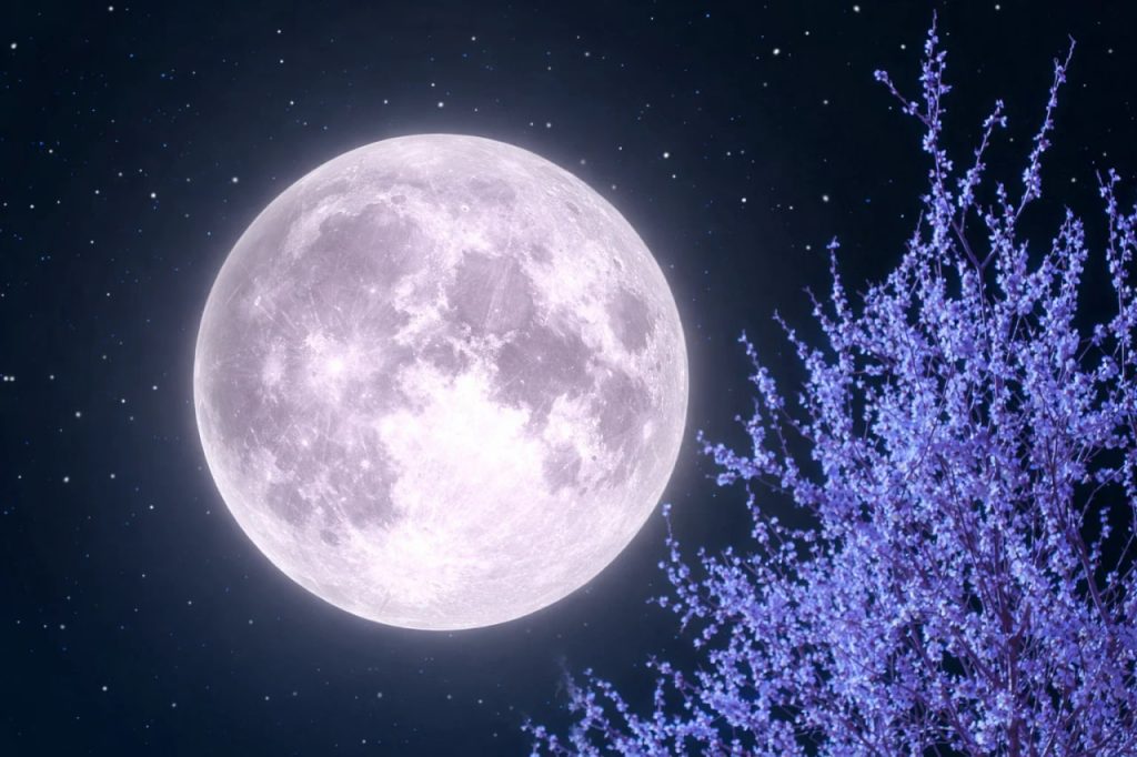 Что принесет следующее полнолуние: дата Розовой Луны 2026
