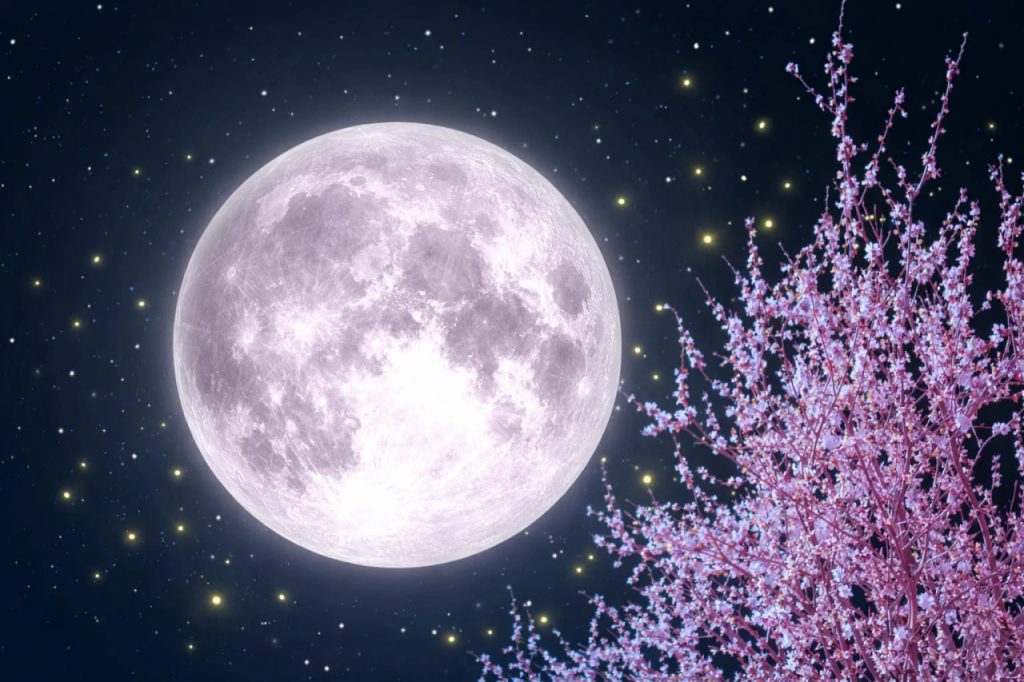 Что принесет следующее полнолуние: дата Розовой Луны 2026