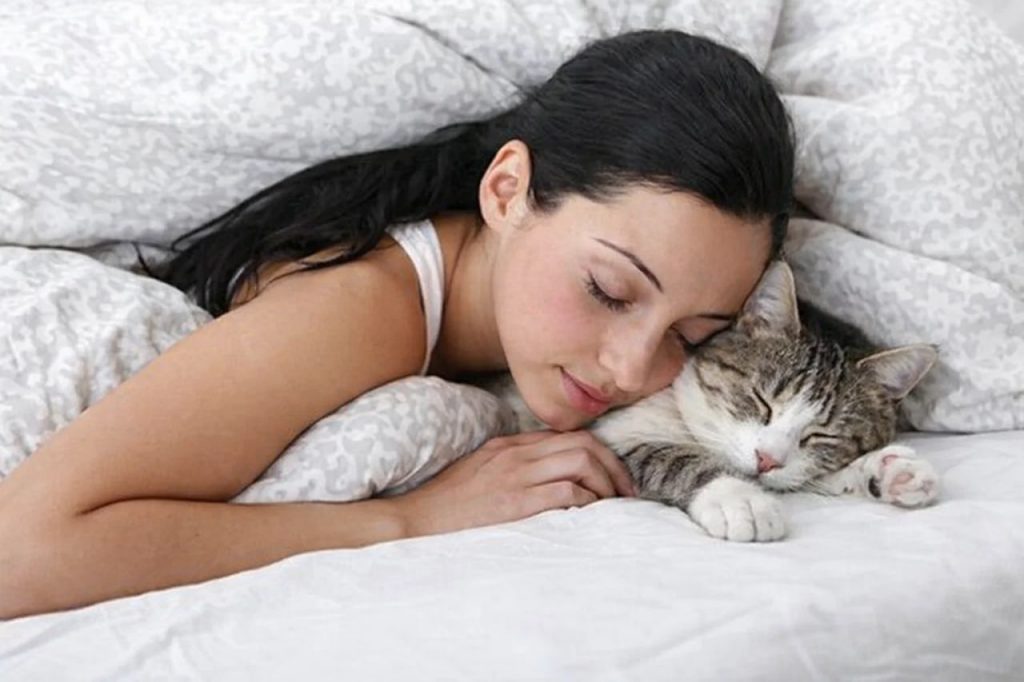 К чему снится кошка: подробное толкование по цвету и поведению