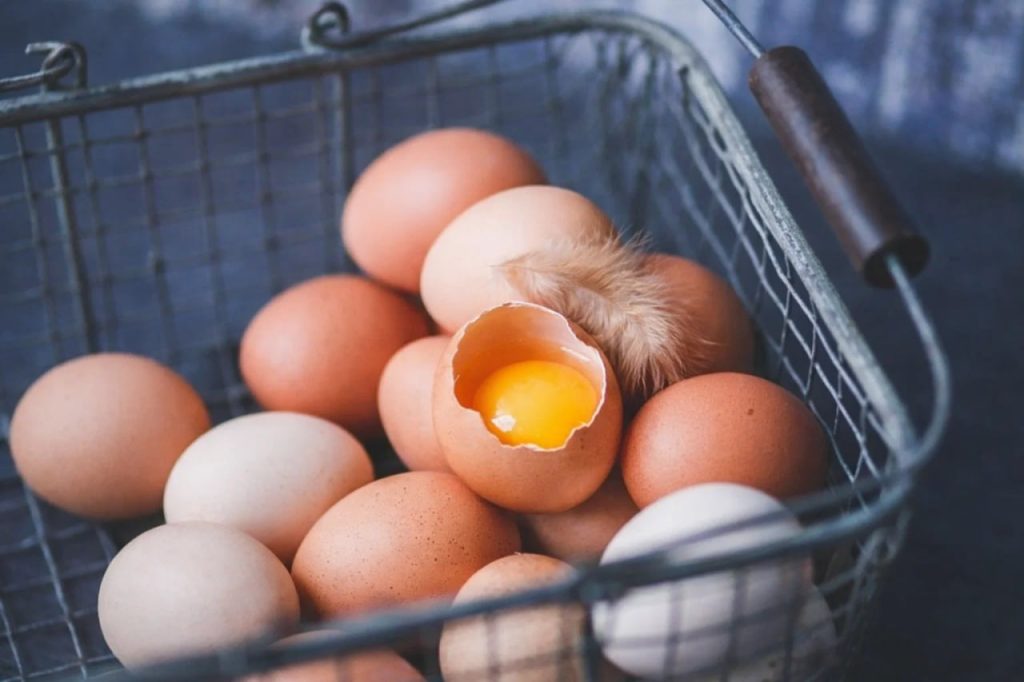 Польза и вред яиц: сколько можно есть в день