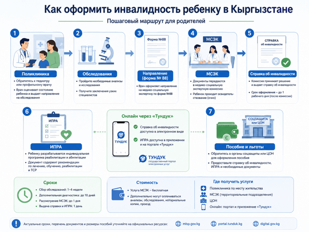Как оформить инвалидность ребенку в Кыргызстане: подробная инструкция